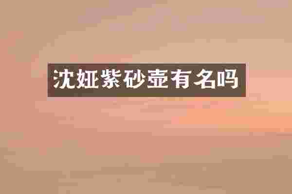 沈娅紫砂壶有名吗