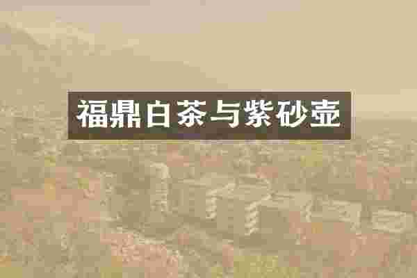 福鼎白茶与紫砂壶