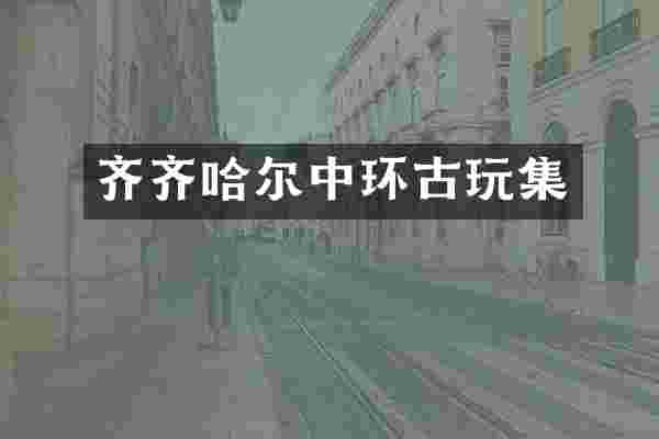 齐齐哈尔中环古玩集