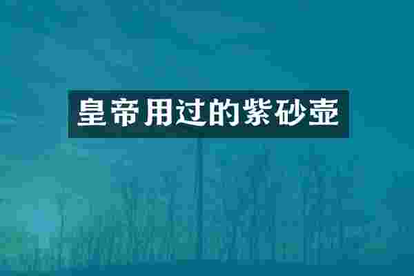 皇帝用过的紫砂壶