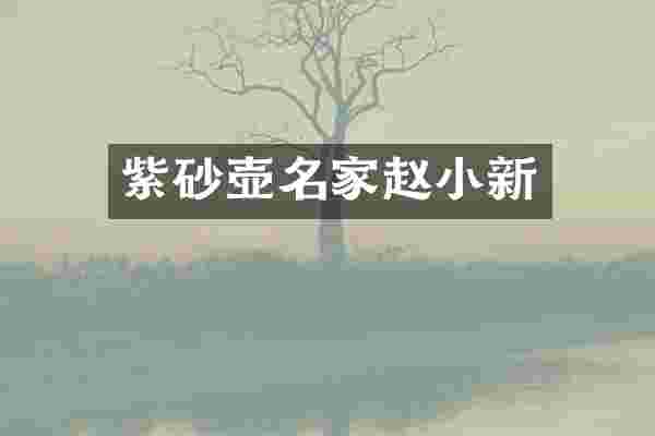 紫砂壶名家赵小新