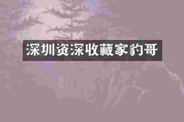 深圳资深收藏家豹哥