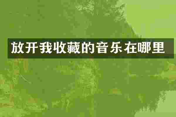 放开我收藏的音乐在哪里