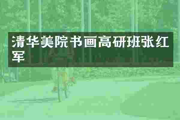清华美院书画高研班张红军