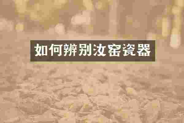 如何辨别汝窑瓷器