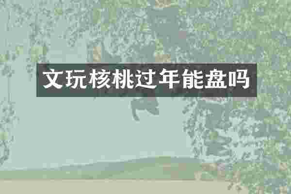 文玩核桃过年能盘吗
