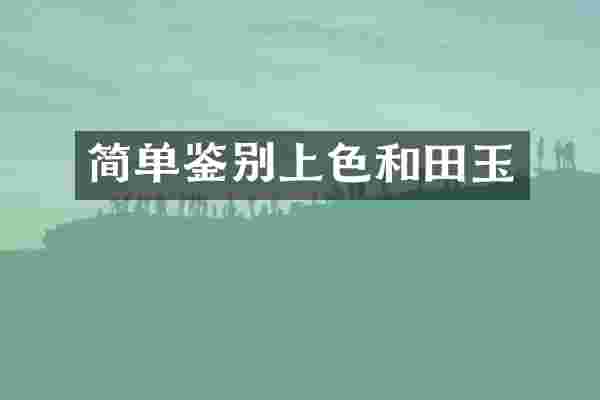 简单鉴别上色和田玉