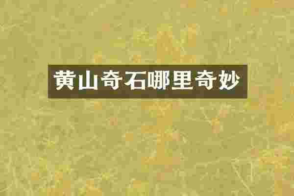 黄山奇石哪里奇妙