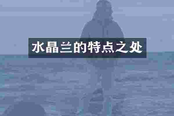 水晶兰的特点之处