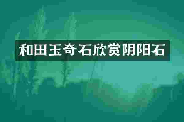 和田玉奇石欣赏阴阳石