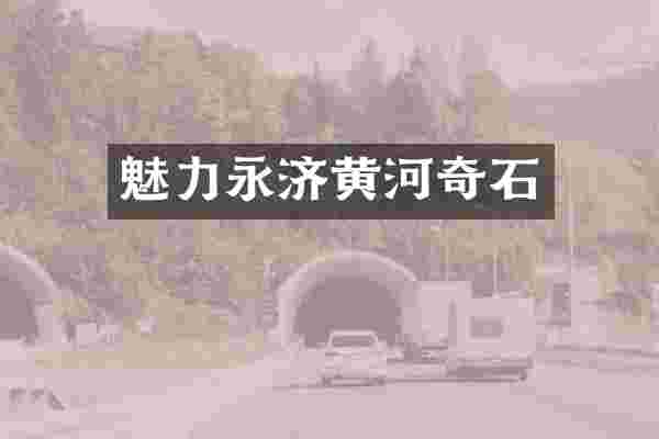 魅力永济黄河奇石