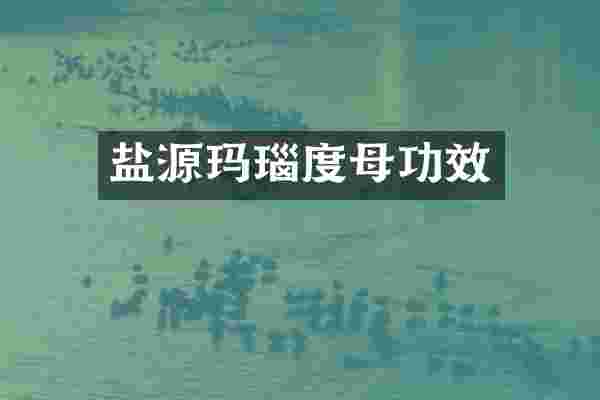 盐源玛瑙度母功效