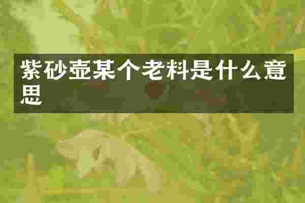 紫砂壶某个老料是什么意思