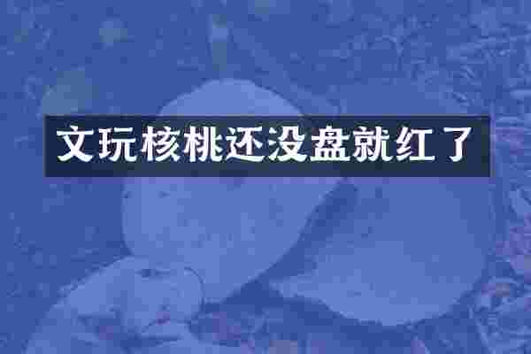 文玩核桃还没盘就红了