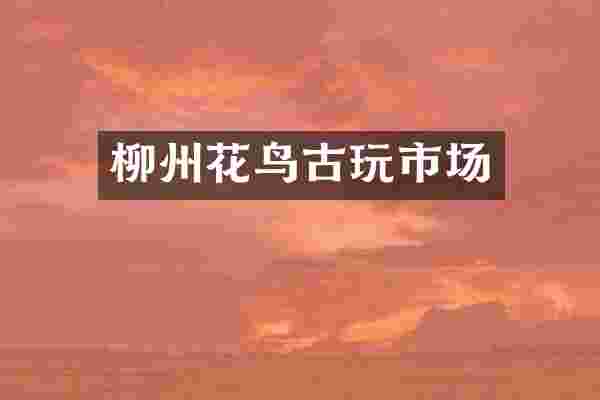 柳州花鸟古玩市场
