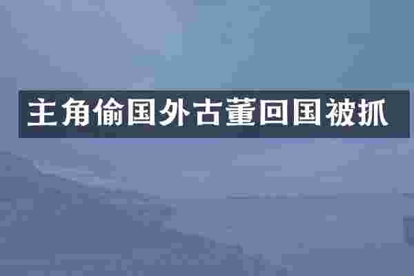 主角偷国外古董回国被抓