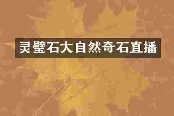 灵璧石大自然奇石直播