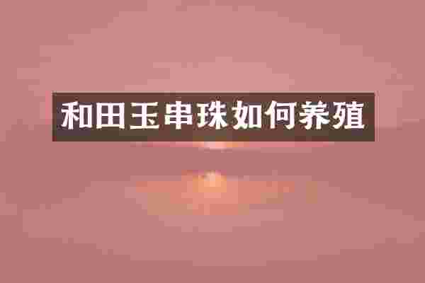 和田玉串珠如何养殖