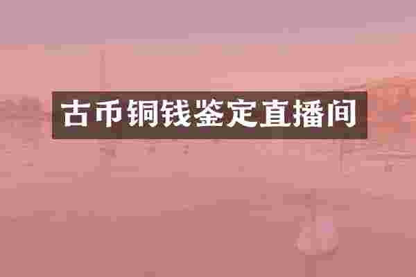 古币铜钱鉴定直播间