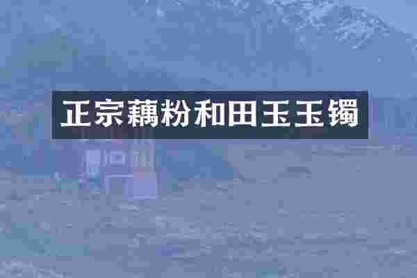正宗藕粉和田玉玉镯