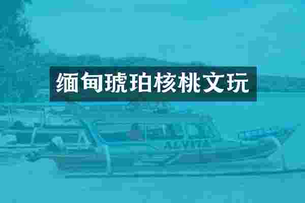 缅甸琥珀核桃文玩