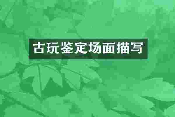 古玩鉴定场面描写