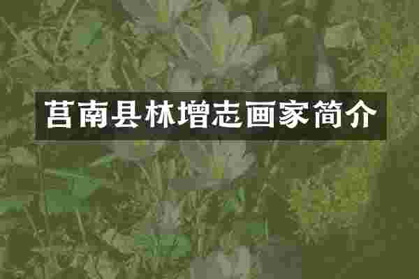 莒南县林增志画家简介
