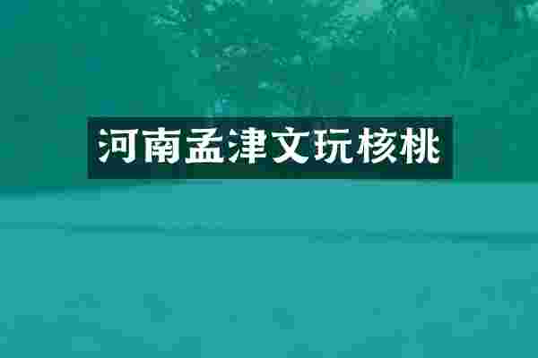 河南孟津文玩核桃