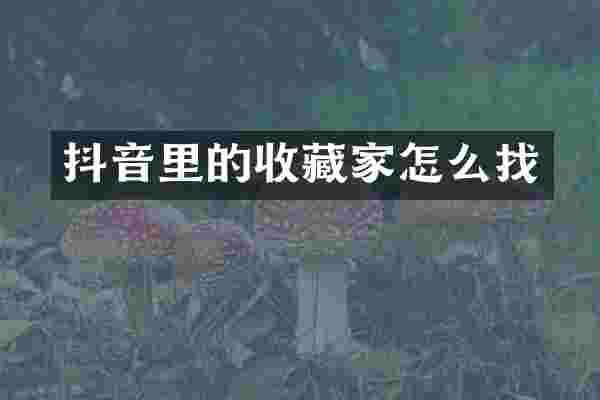 抖音里的收藏家怎么找