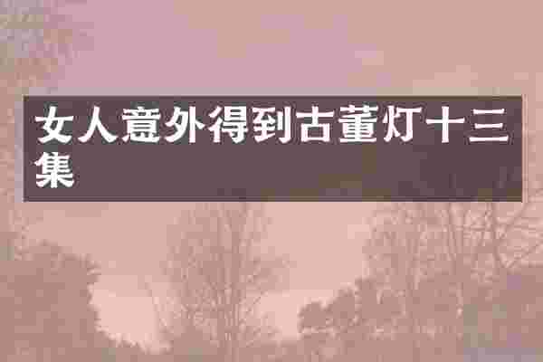 女人意外得到古董灯十三集