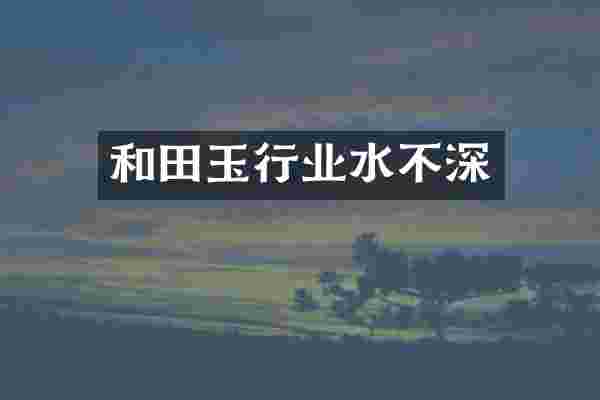 和田玉行业水不深