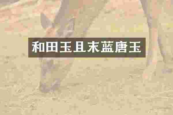 和田玉且末蓝唐玉
