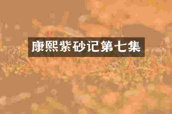 康熙紫砂记第七集