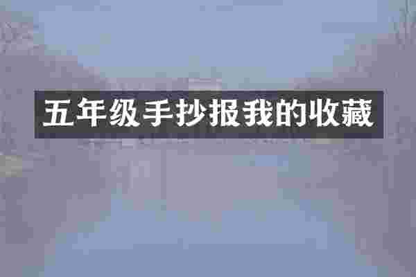 五年级手抄报我的收藏