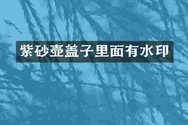 紫砂壶盖子里面有水印