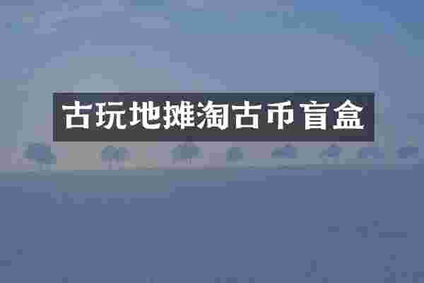 古玩地摊淘古币盲盒