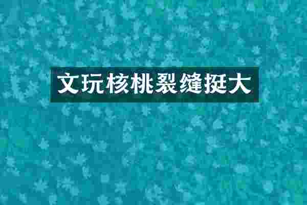 文玩核桃裂缝挺大