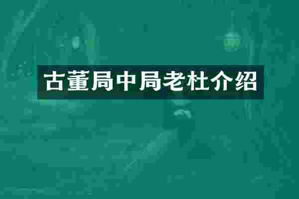古董局中局老杜介绍
