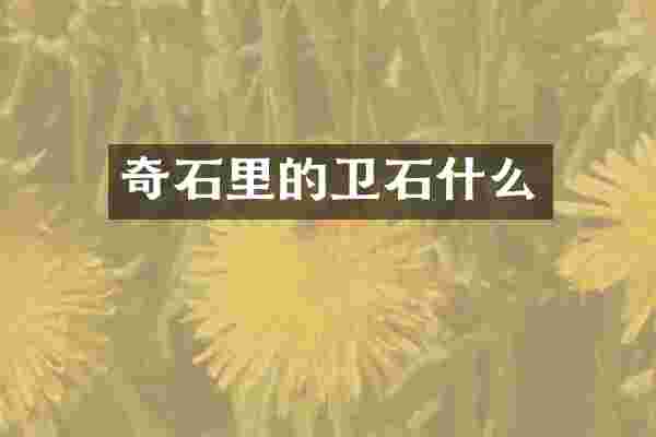 奇石里的卫石什么