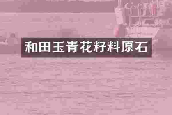 和田玉青花籽料原石