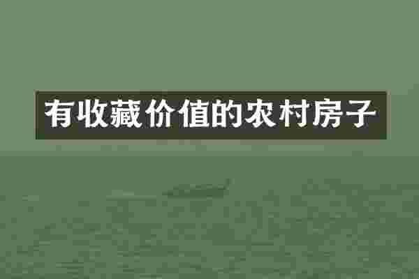 有收藏价值的农村房子