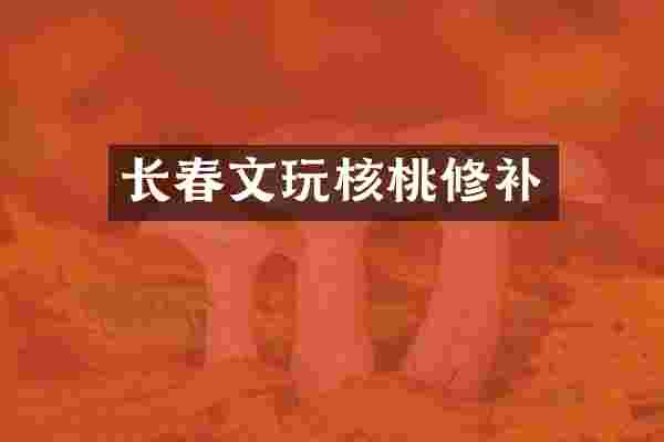长春文玩核桃修补