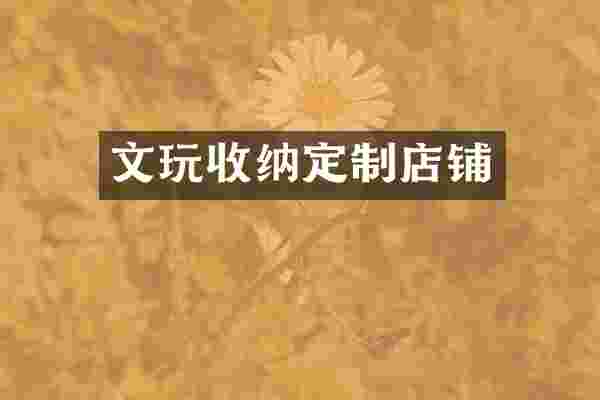 文玩收纳定制店铺