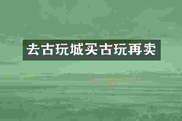 去古玩城买古玩再卖