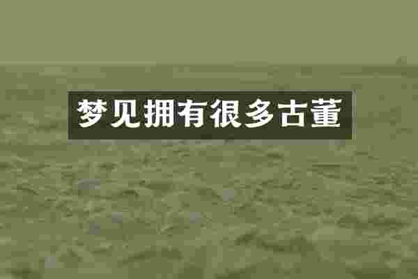 梦见拥有很多古董