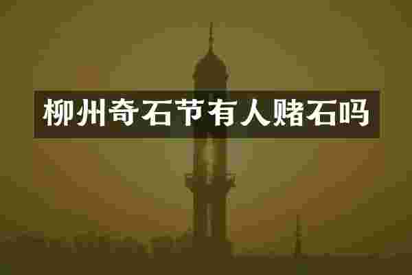 柳州奇石节有人赌石吗