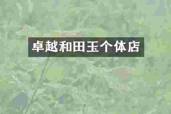 卓越和田玉个体店