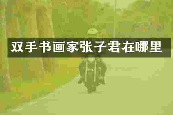 双手书画家张子君在哪里