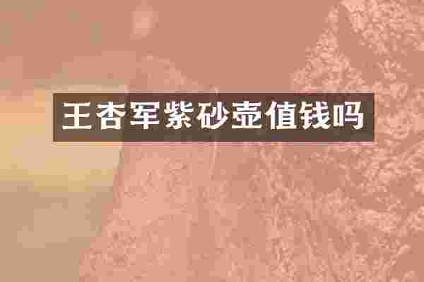 王杏军紫砂壶值钱吗