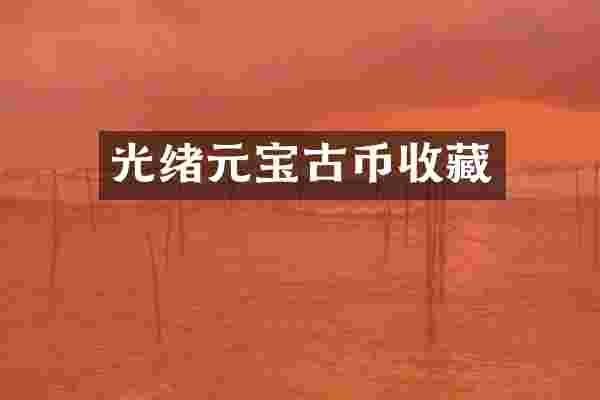 光绪元宝古币收藏